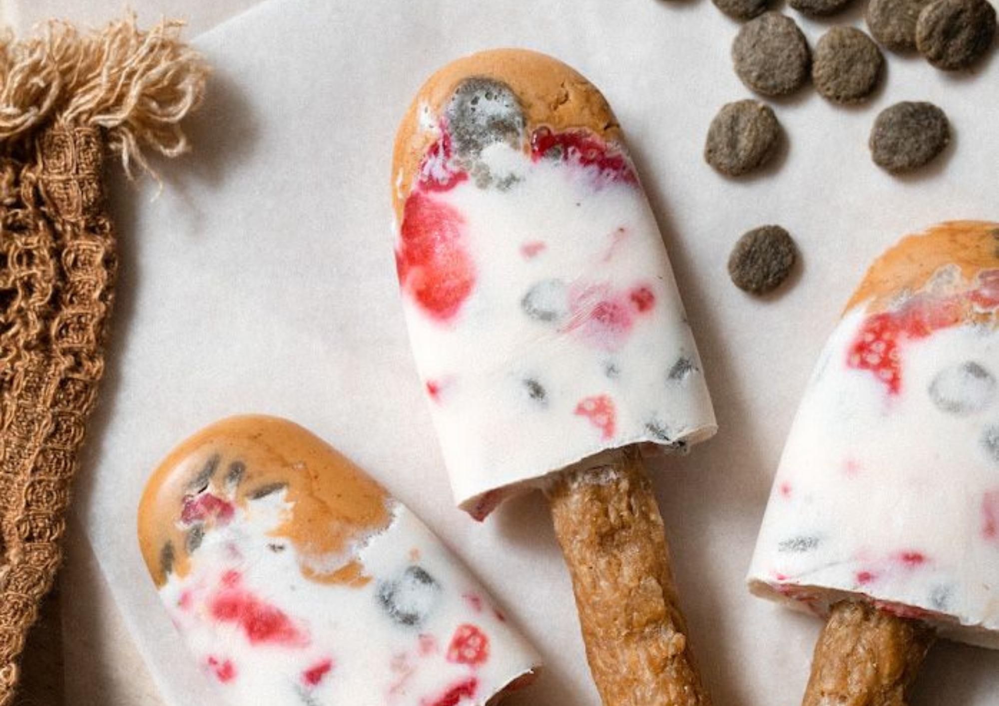 DIY recipe: Ice cream for dogs