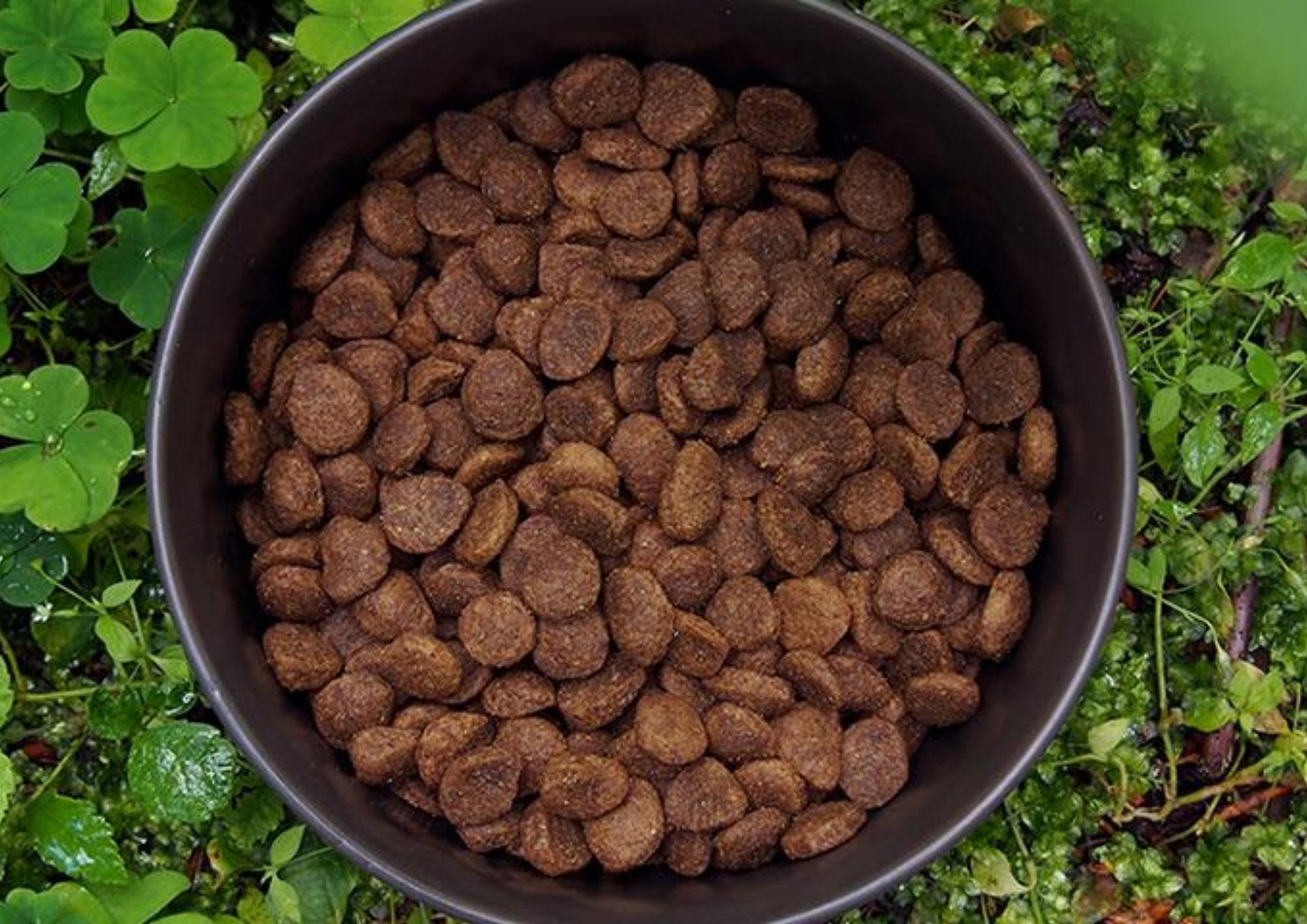 Alvar’s dry food: Ingredients Explained