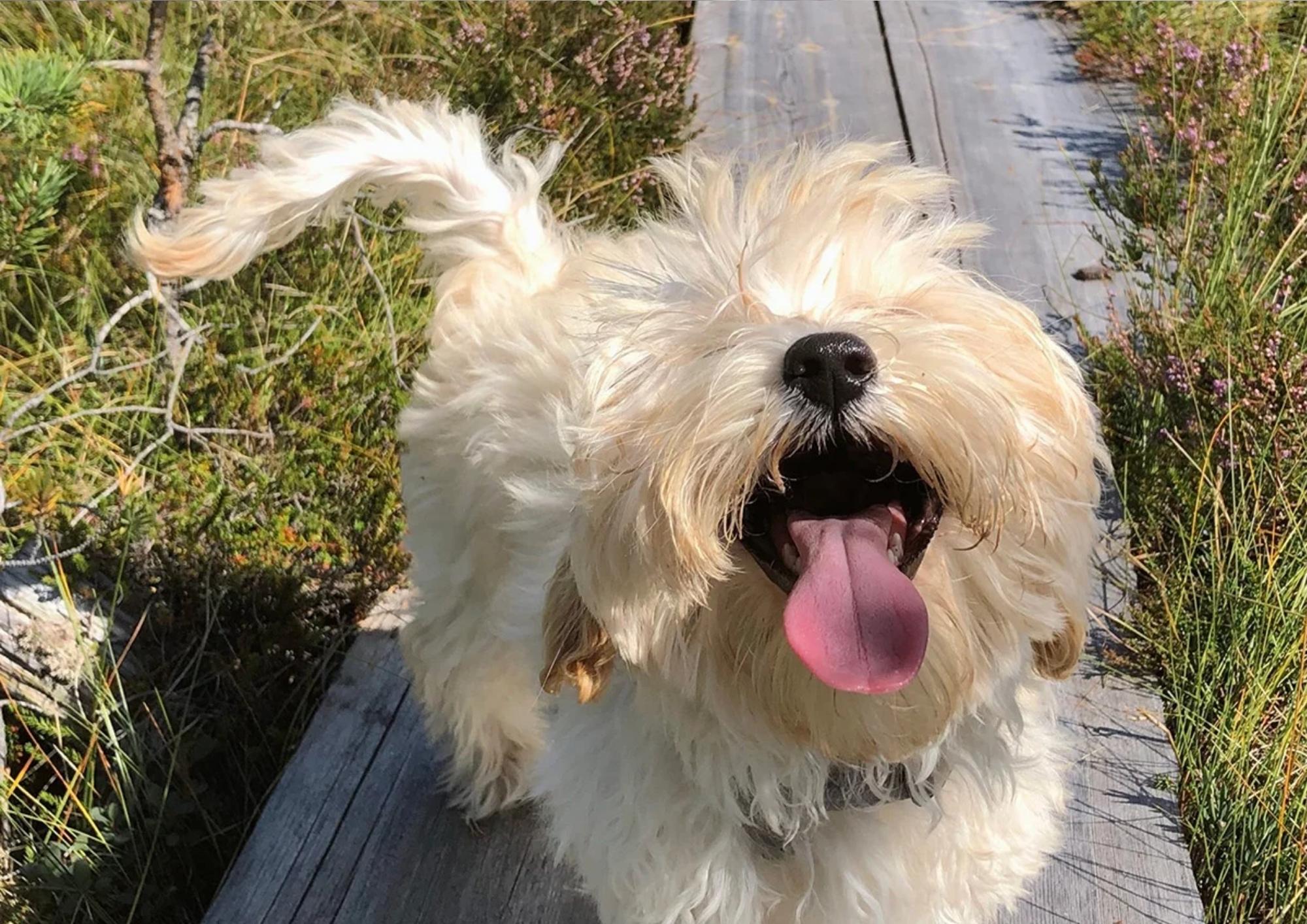 Alvar’s top tips for hot summer days