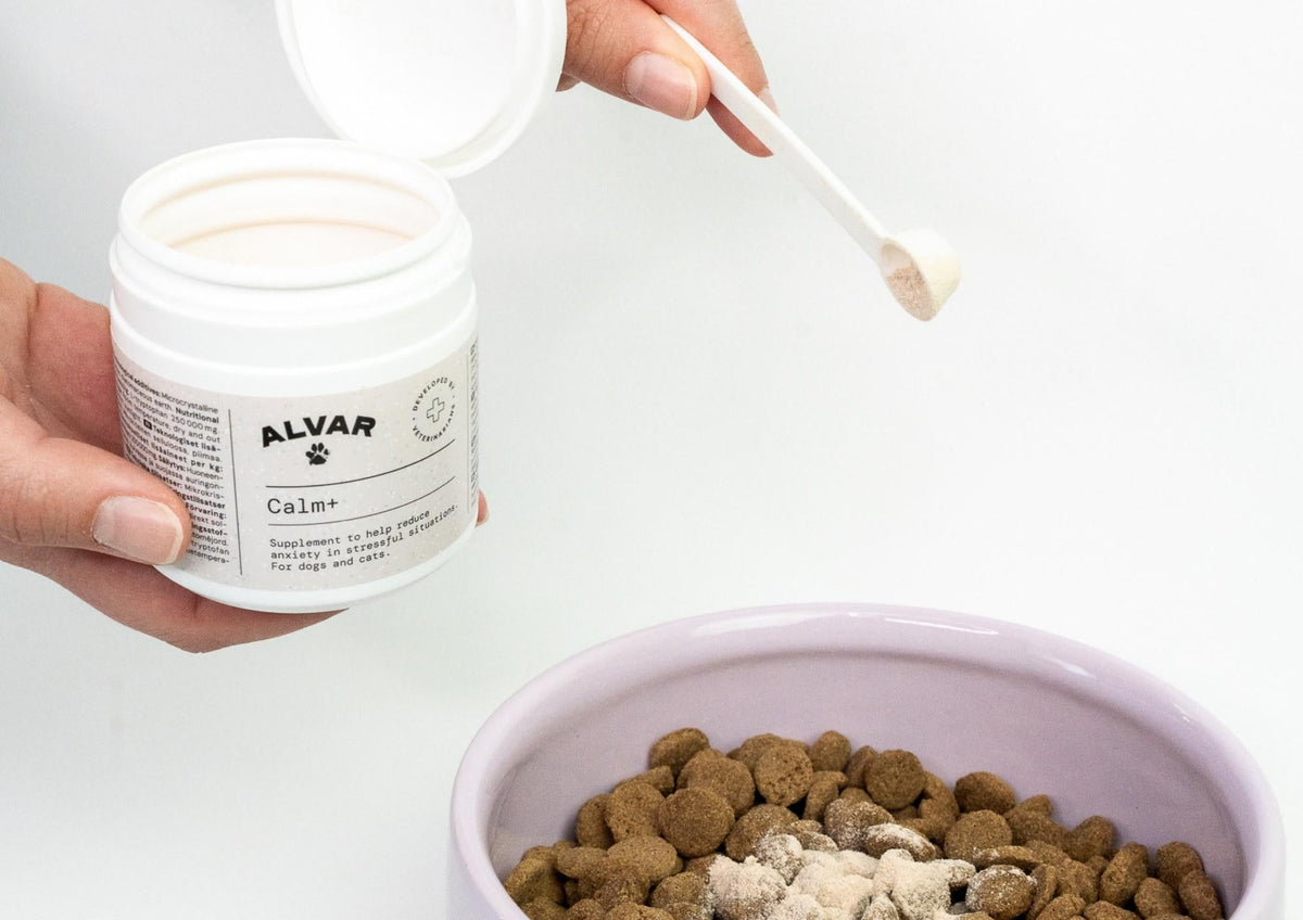 A relaxed everyday life for your pet – natural support through nutrition