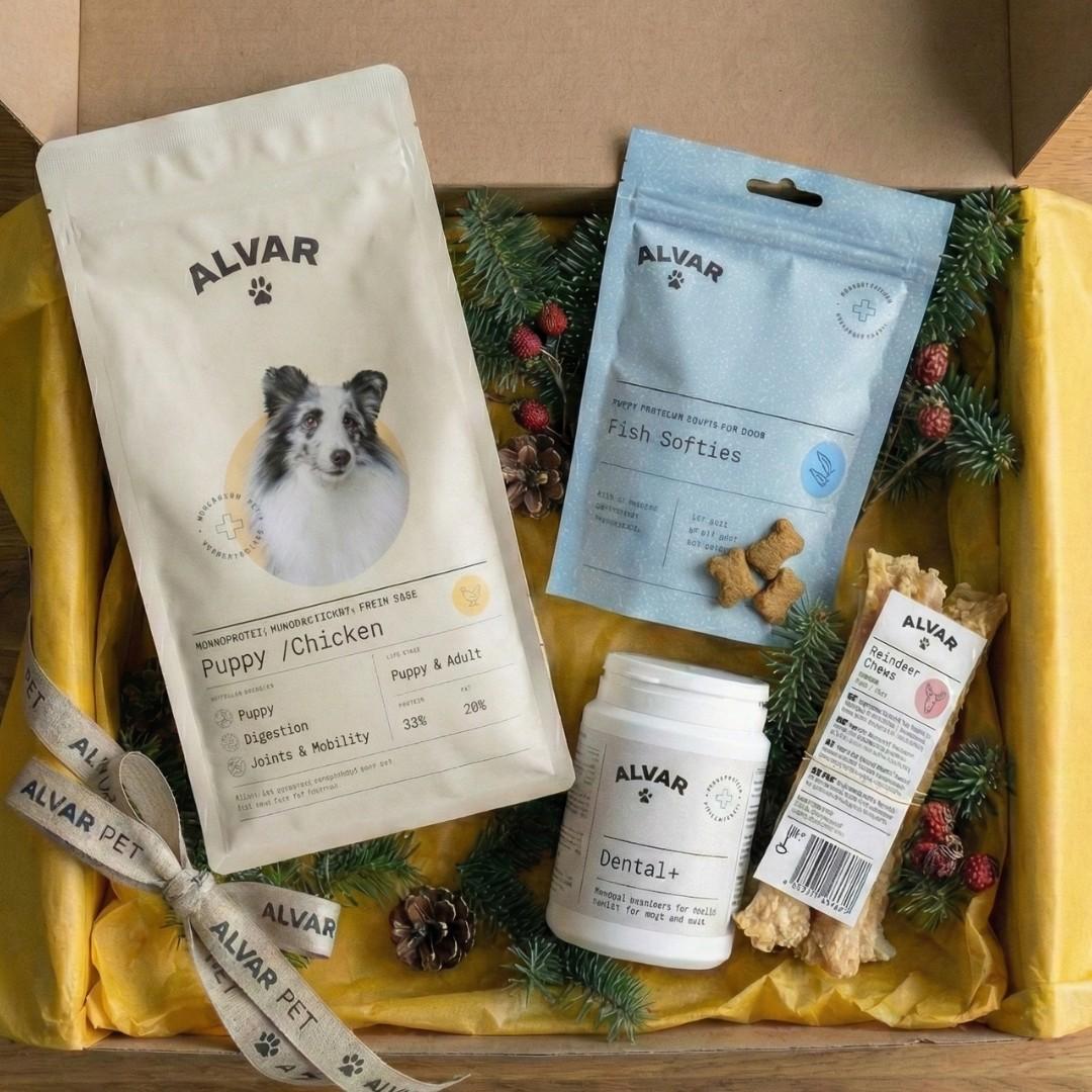 Gift guide - puppy