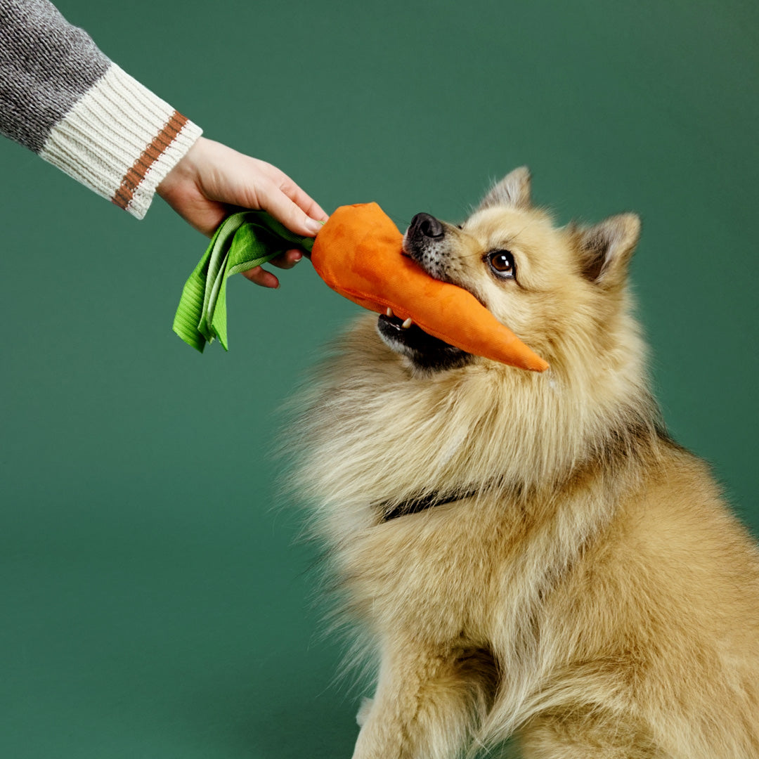 Alvar Pet Cuddly Uusiolelu