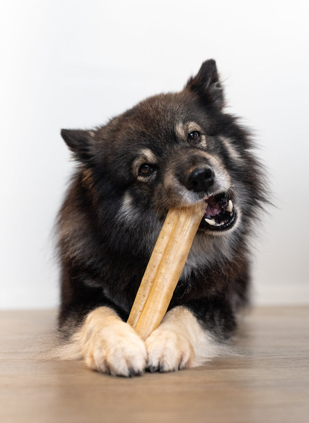 Alvar Pet Red Deer Tuggben 100 g