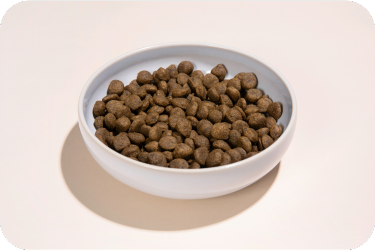Alvar Pet dog food