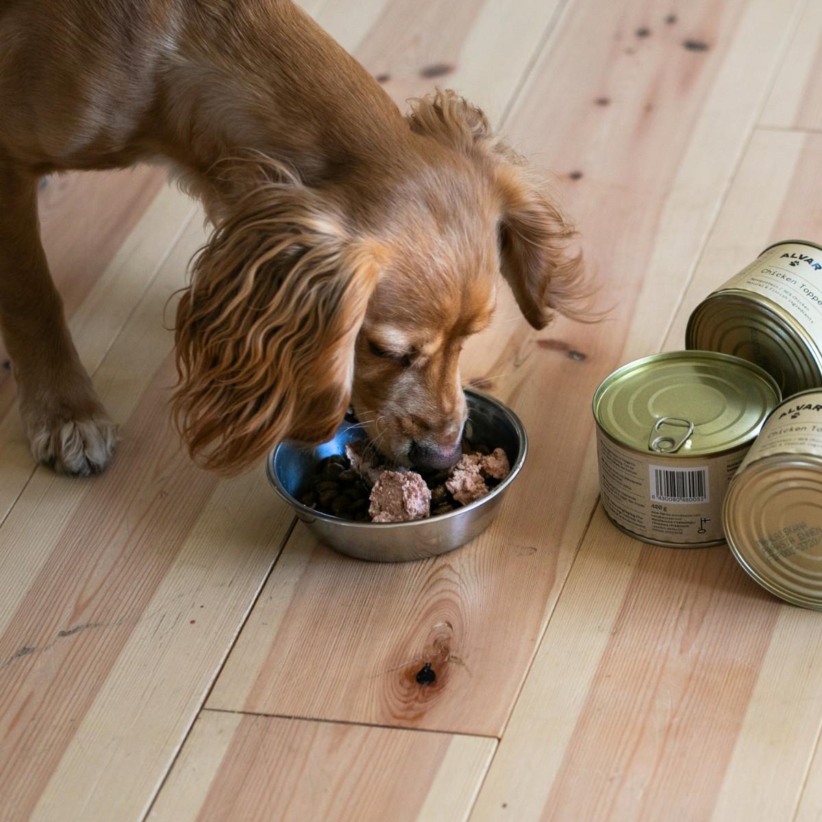 chicken topper wet food for dogs
