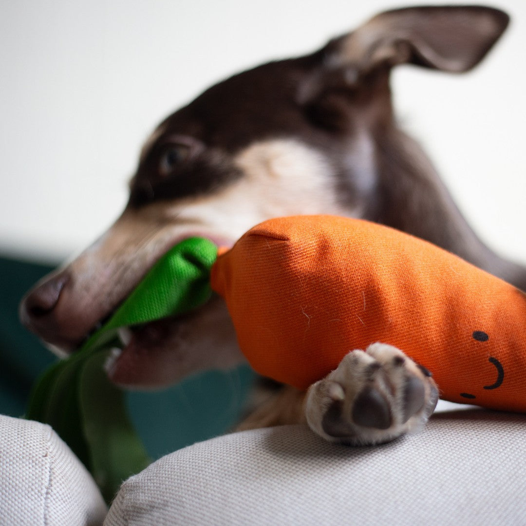 Carrot-shaped dog toy