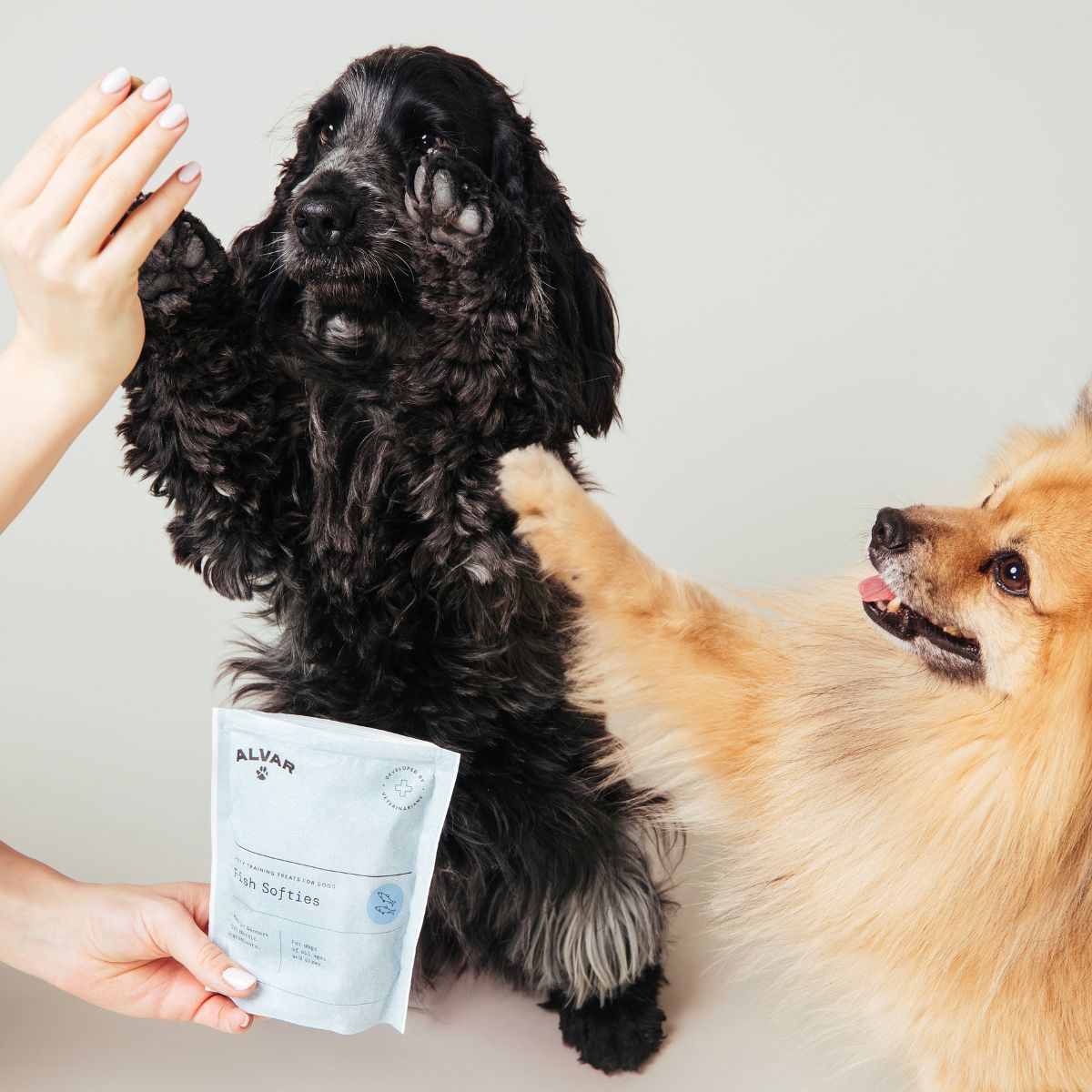 Alvar Pet dog treats and two dogs doing tricks