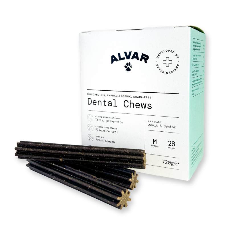 Box of Alvar Dental Chews for dogs with dental chews in front