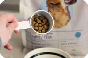 dog food