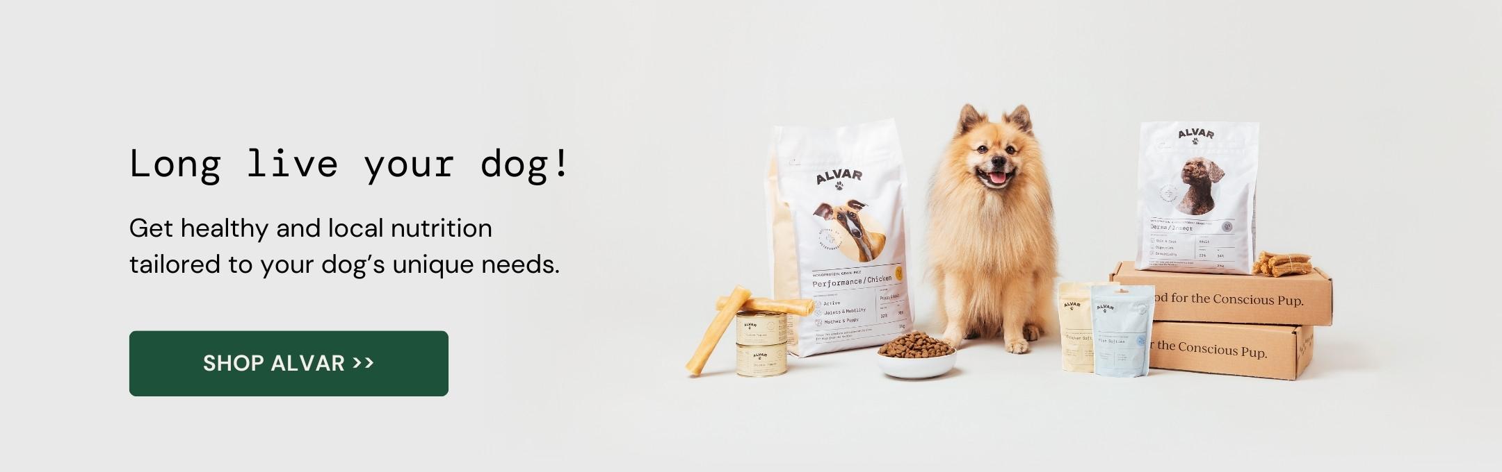 alvar the dog with alvar pet dog food