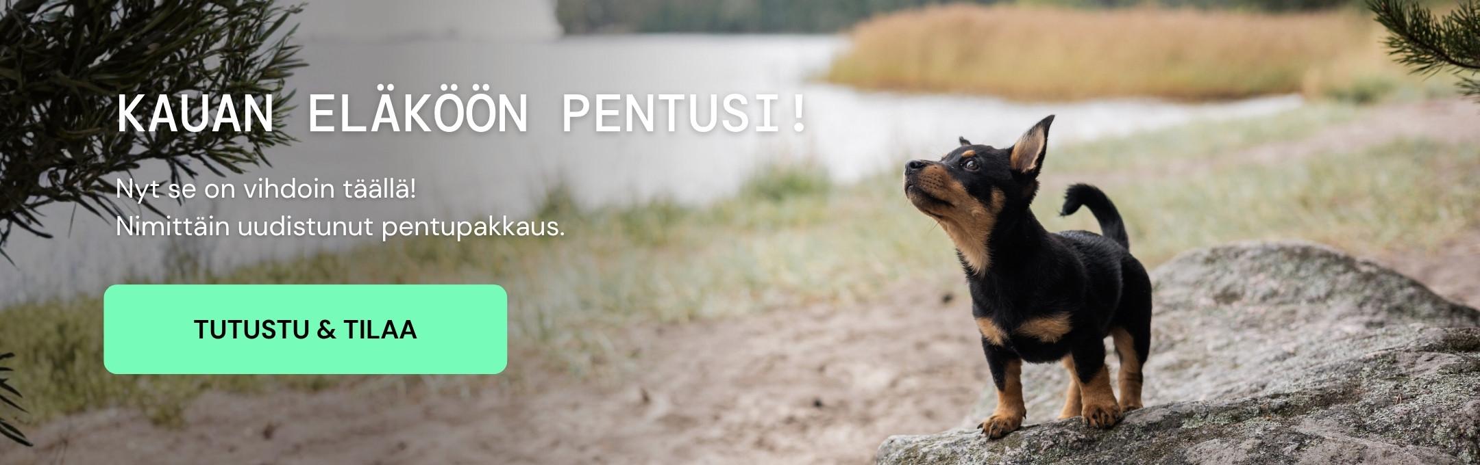 Alvar Pet - uusi pentupakkaus nyt saatavilla - penturuoka - ruoka pennulle - koiranpennun ruoka
