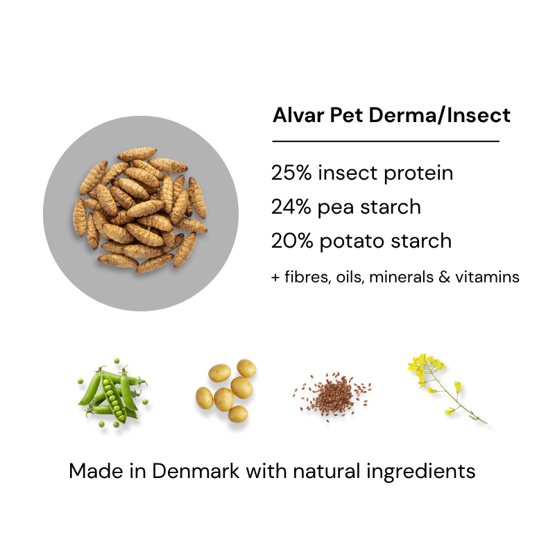 Ingredients of Alvar Pet Derma/Insect formula hypoallergenic dog food with images of insect protein, and natural key ingredients.