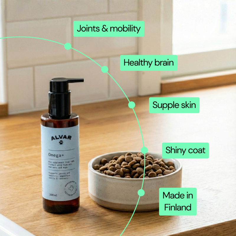 Omega+ supplement health benefits for dogs and cats