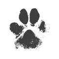 Paw print