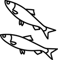 Ingredient illustration