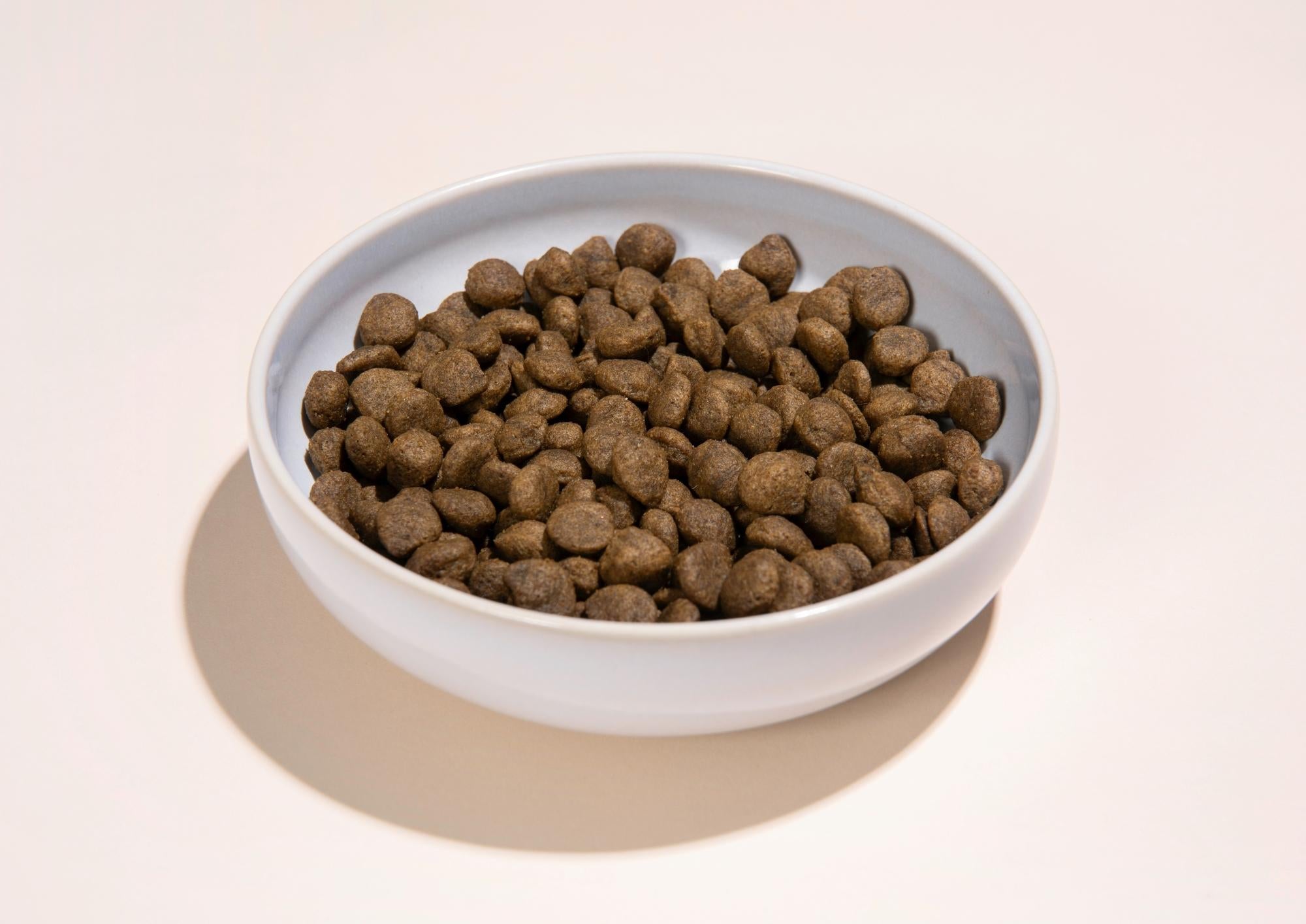 Alvar Pet Dry Food Sizes