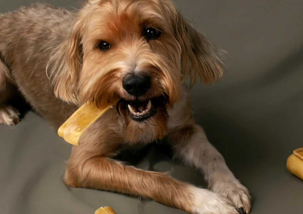 Alvar's Natural Dog Chews