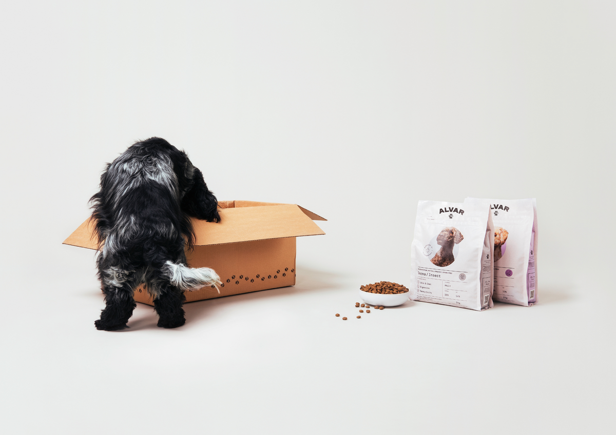 Grain free dog food