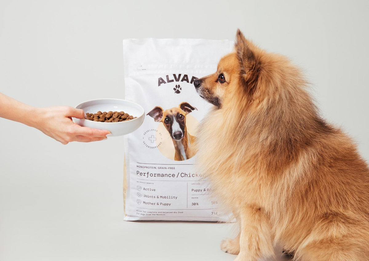 What to Consider When Feeding a Dog with Sensitive Skin?