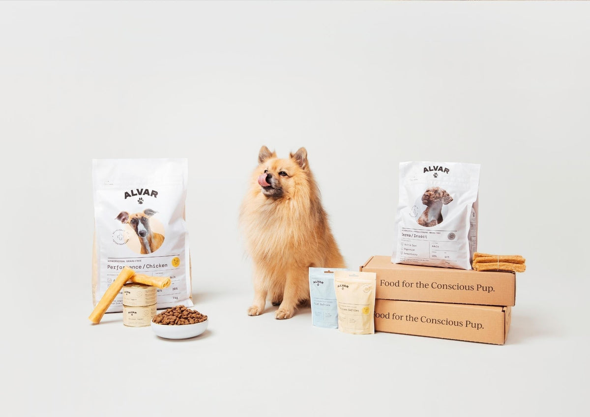 Dog Nutrition Counseling