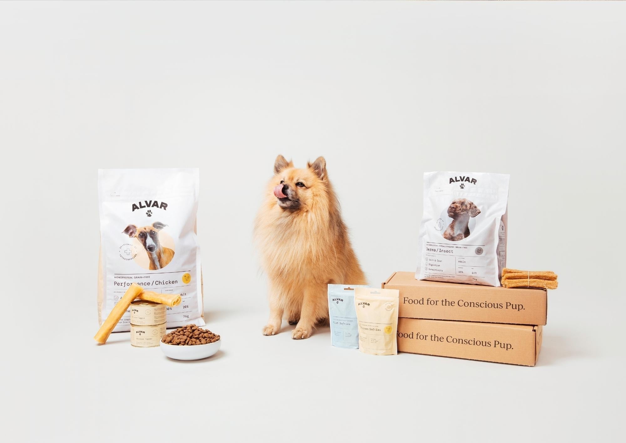 Dog Nutrition Counseling
