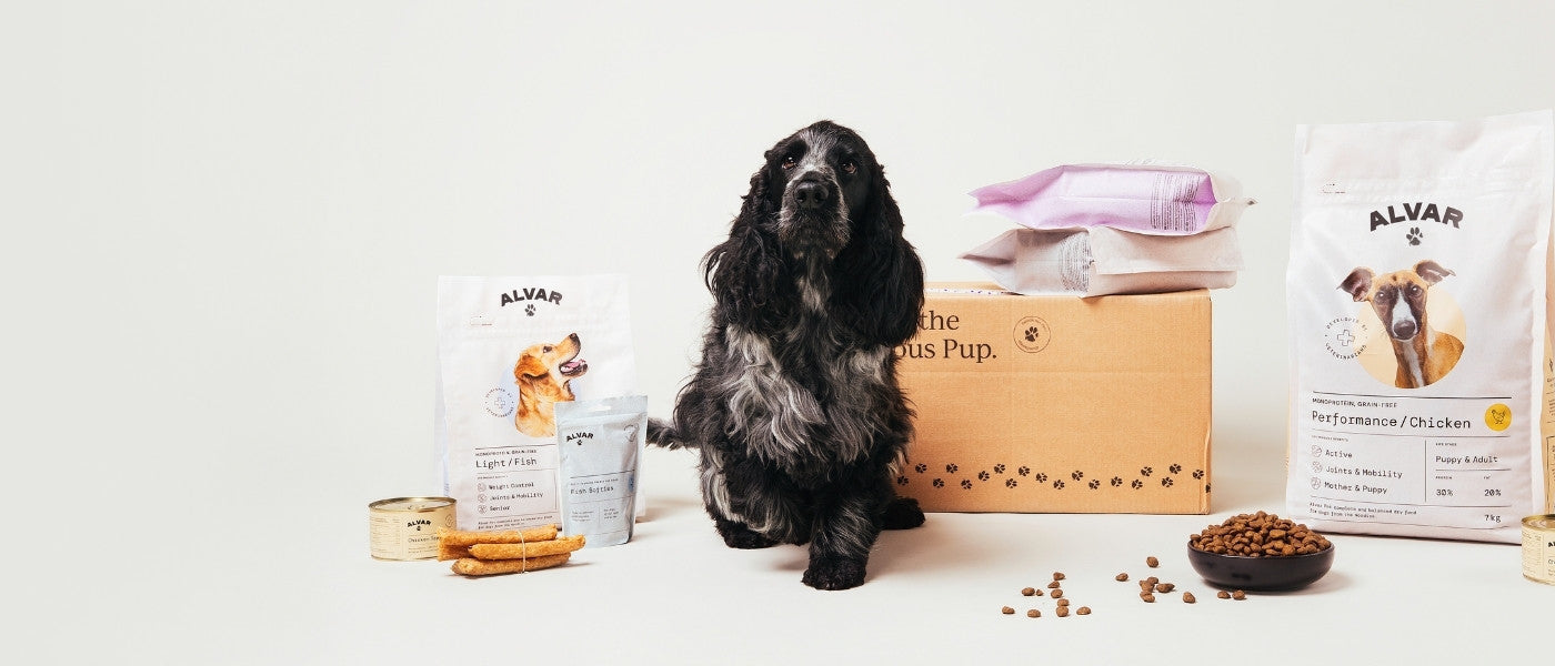 New dry foods