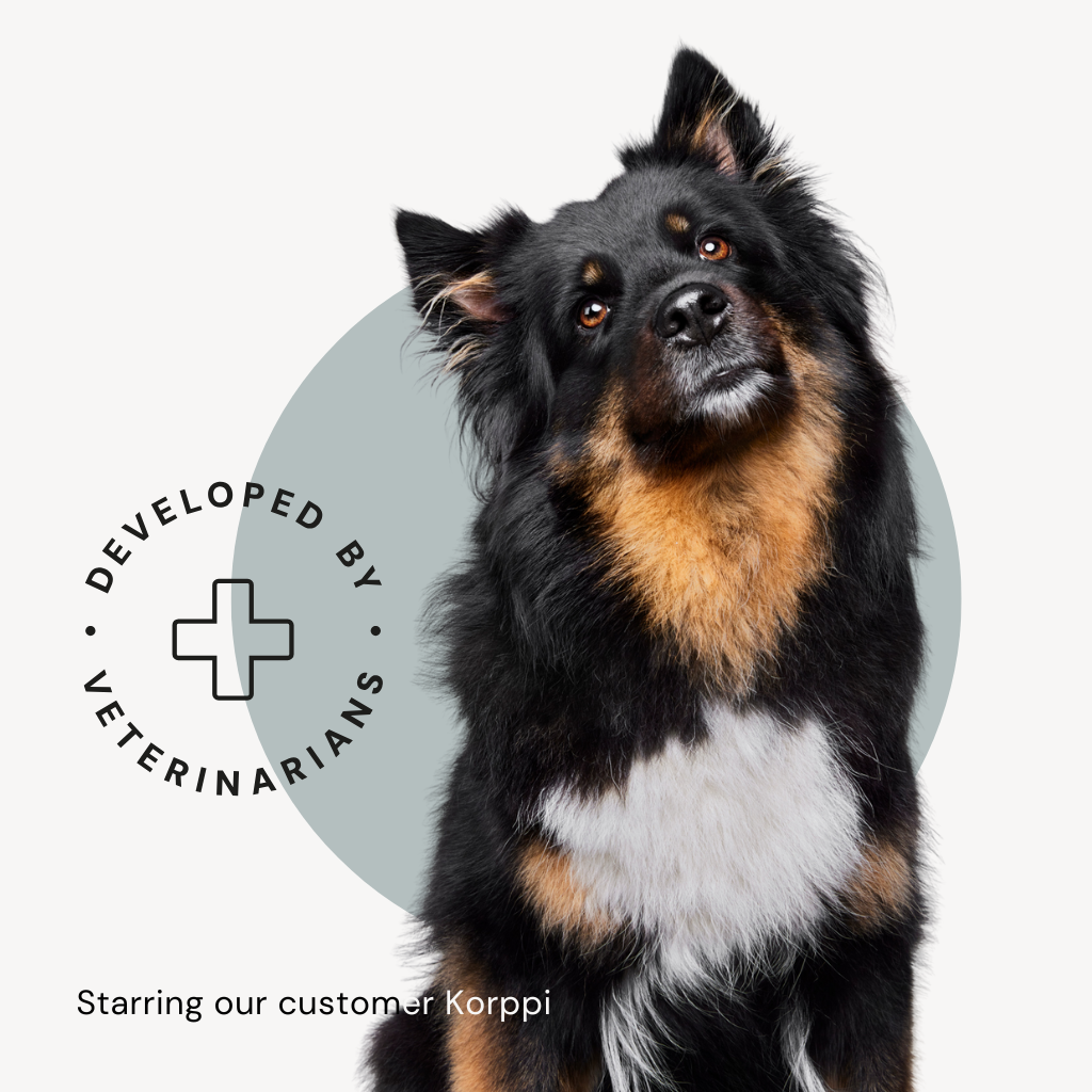 The dog food packaging features our customer, aussie lapphund mix Korppi