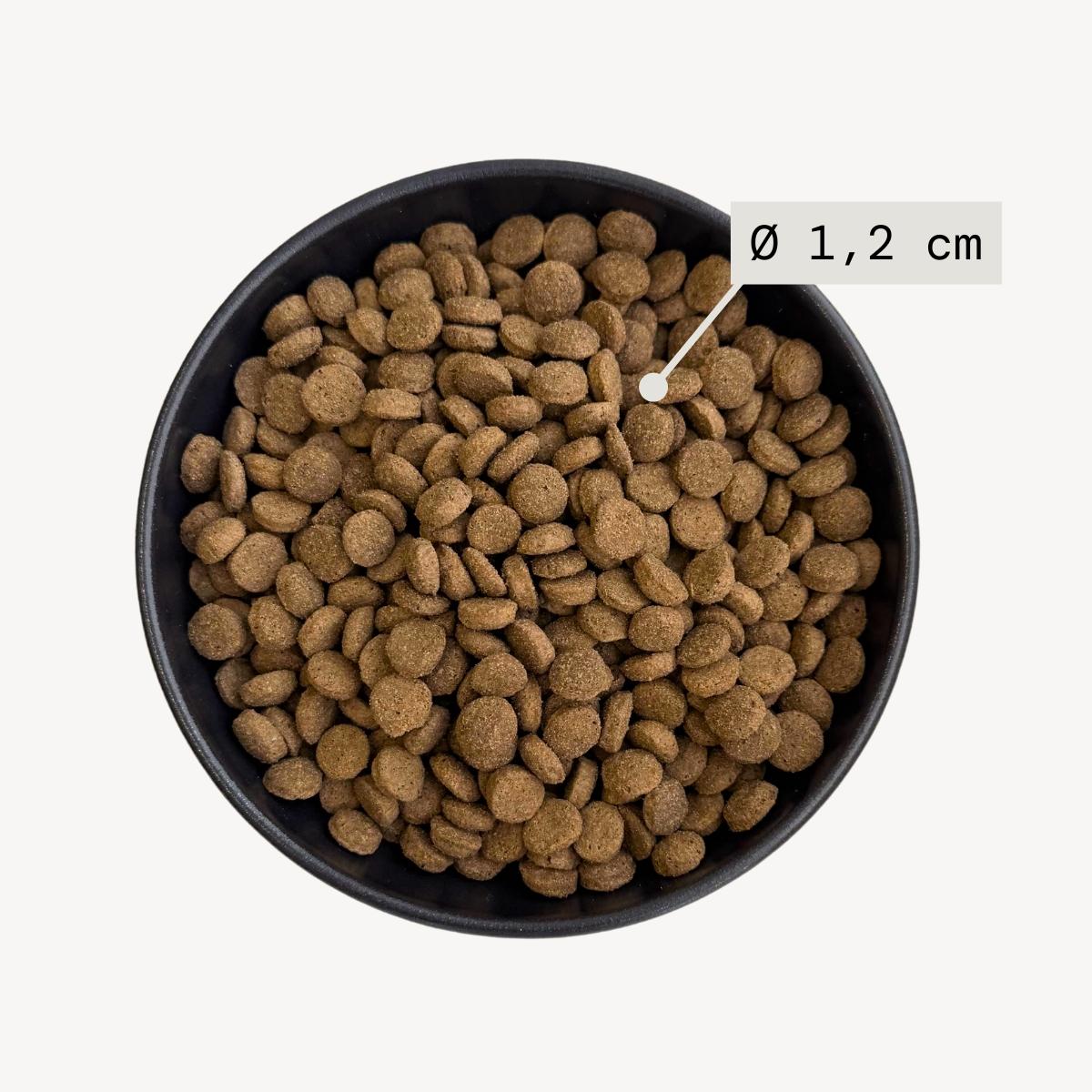Bowl filled with dog food and visuals indicating kibble size