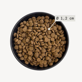 Bowl filled with dog food and visuals indicating kibble size