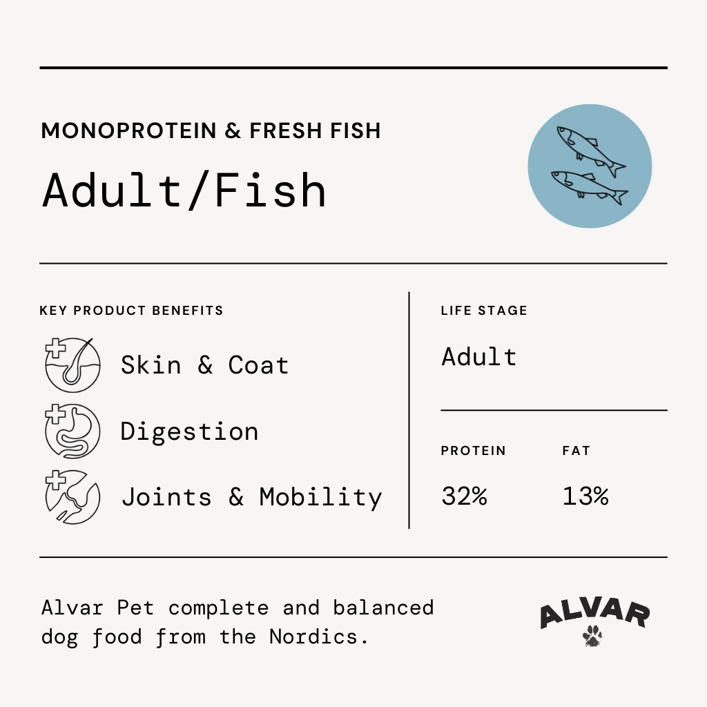 Alvar Pet Adult/Fish kuivaruoka