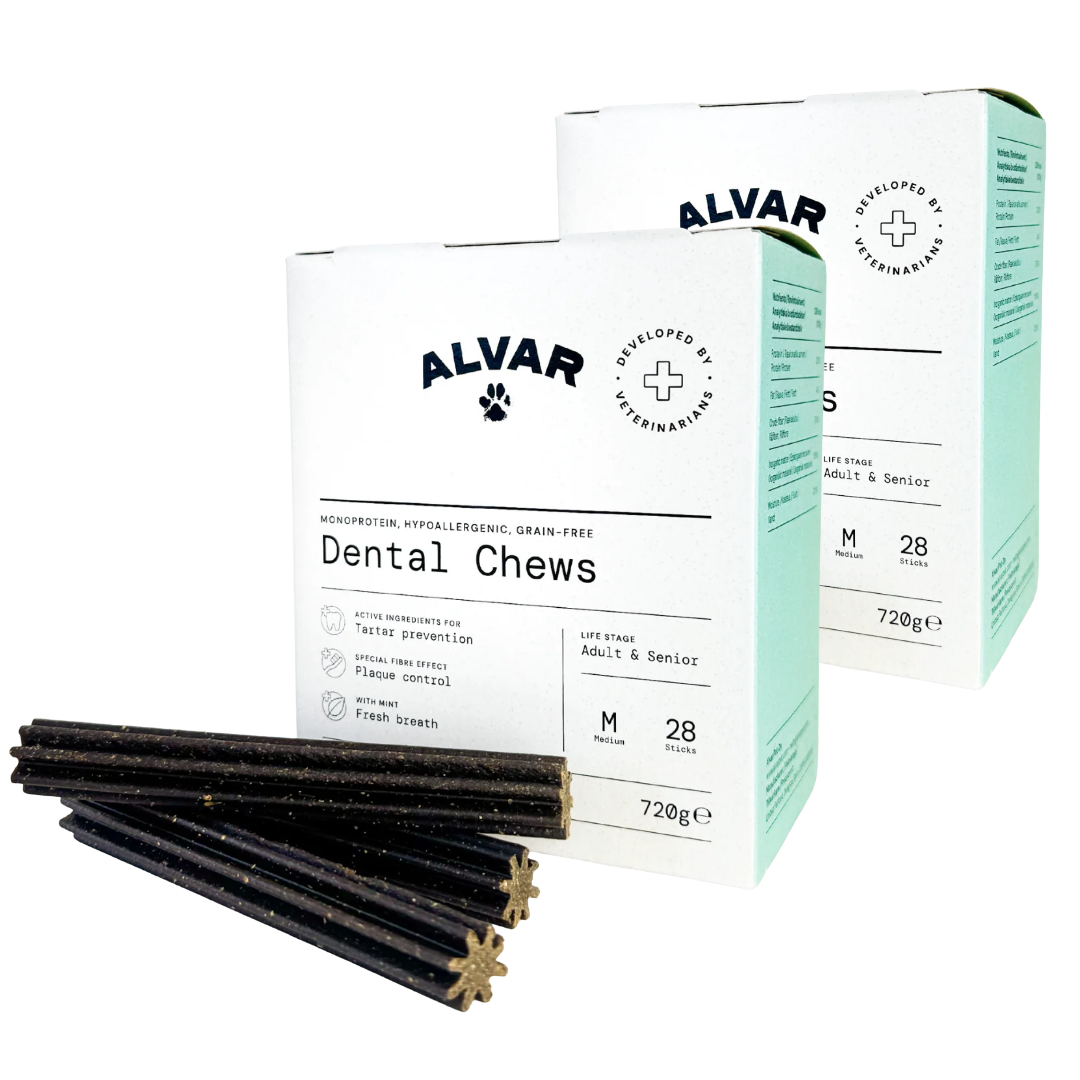 Alvar Pet Dental Chews tyggeben M DOBBELTPAKKE