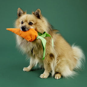 Alvar Pet Cuddly Uusiolelu