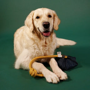 Alvar Pet Crafty Uusiolelu