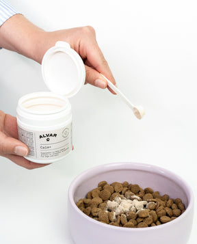 Alvar Pet Calm+ lisäravinne 75 g
