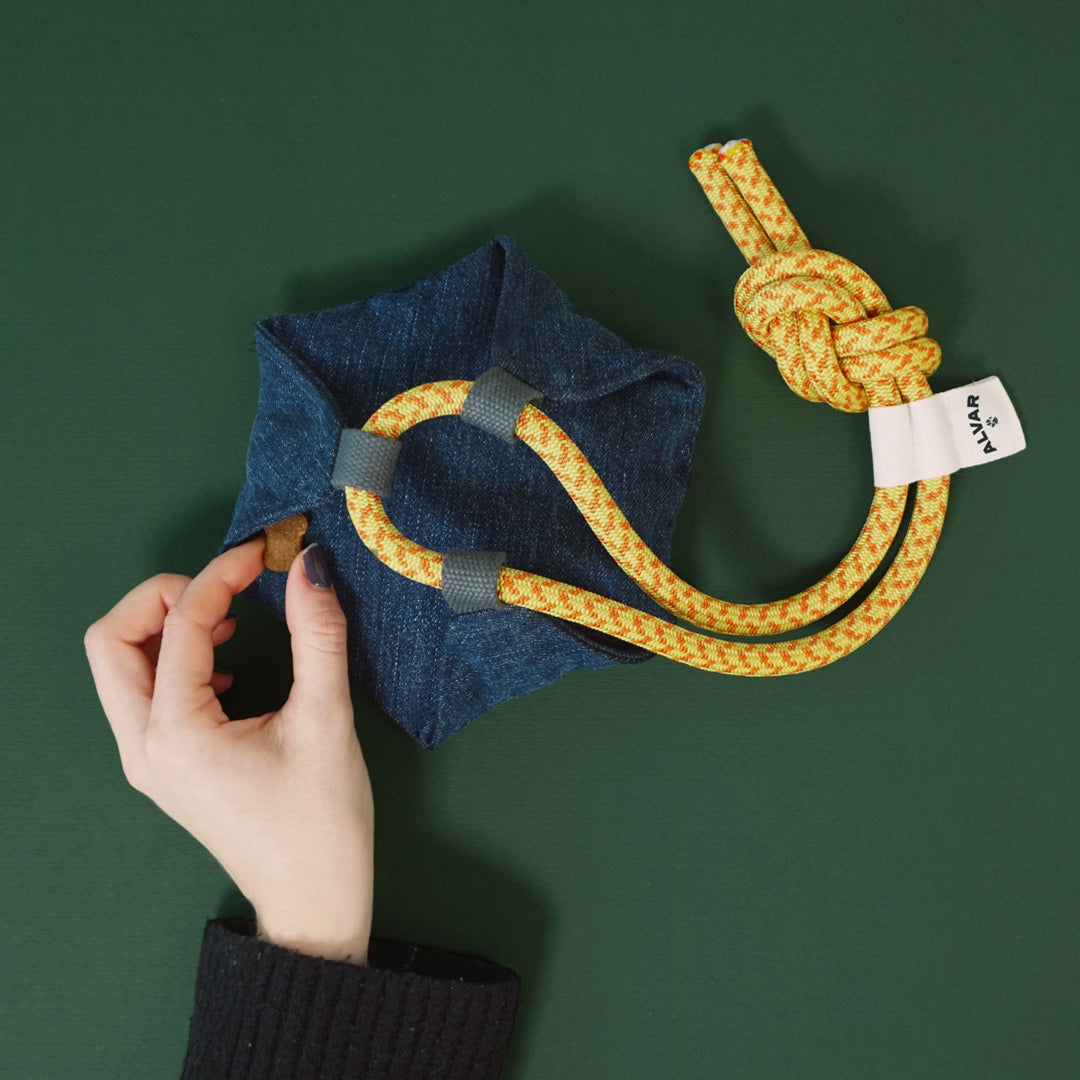 Alvar Pet Crafty Uusiolelu