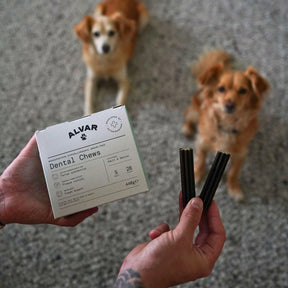 Dental Chews small dogs