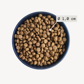 Bowl filled with dog food and visuals indicating kibble size