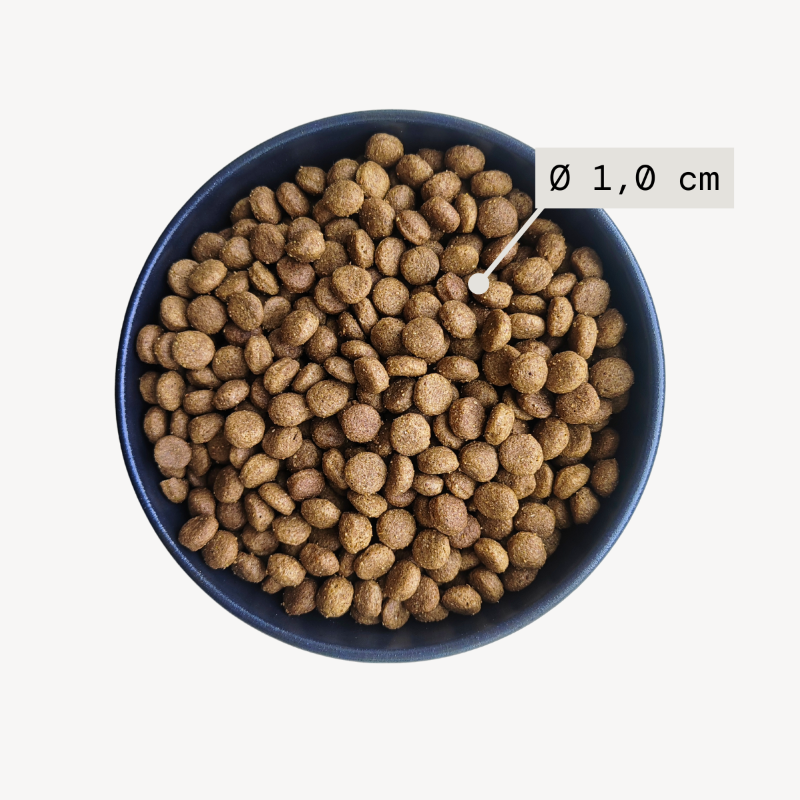 Bowl filled with dog food and visuals indicating kibble size