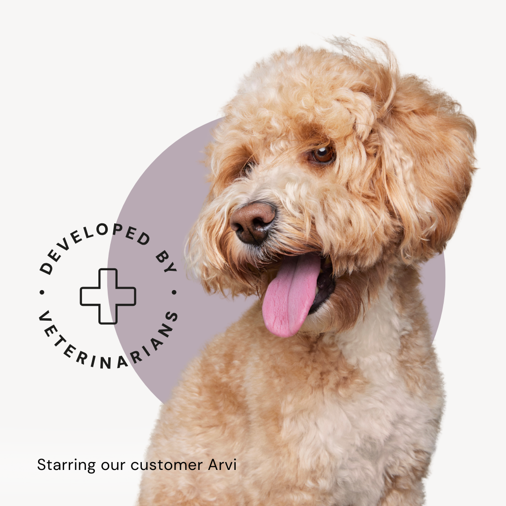 The dog food packaging features our customer, labradoodle Arvi