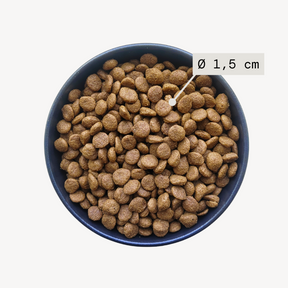 Bowl filled with dog food and visuals indicating kibble size