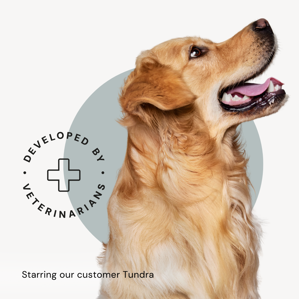The dog food packaging features our customer, golden retriever Tundra