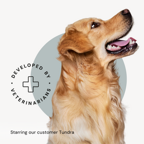 The dog food packaging features our customer, golden retriever Tundra