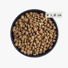 Dog food bowl with kibble and measurements of kibble size