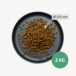 Alvar Pet Performance/Chicken dry food