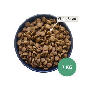 Bowl of dog food with a label indicating kibble size 