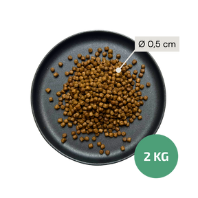 Dog food kibbles on a black plate with measurements and weight information.