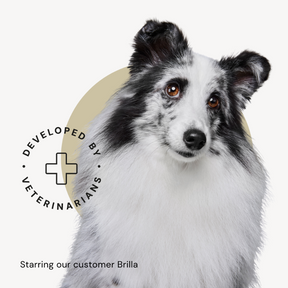 The dog food packaging features our customer, shetland sheepdog Brilla