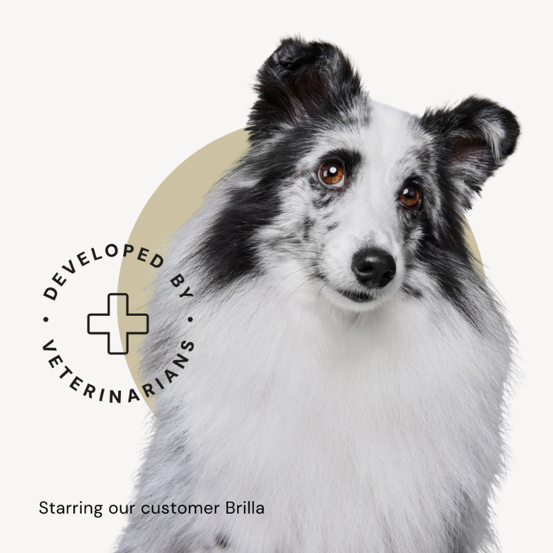 The dog food packaging features our customer, shetland sheepdog Brilla