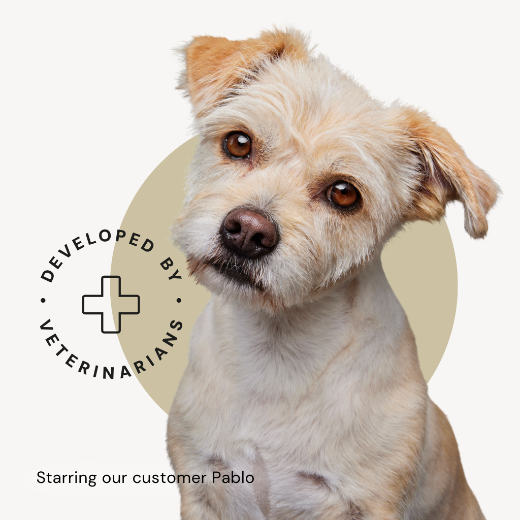 The dog food packaging features our customer, rescue dog Pablo