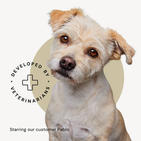 The dog food packaging features our customer, rescue dog Pablo
